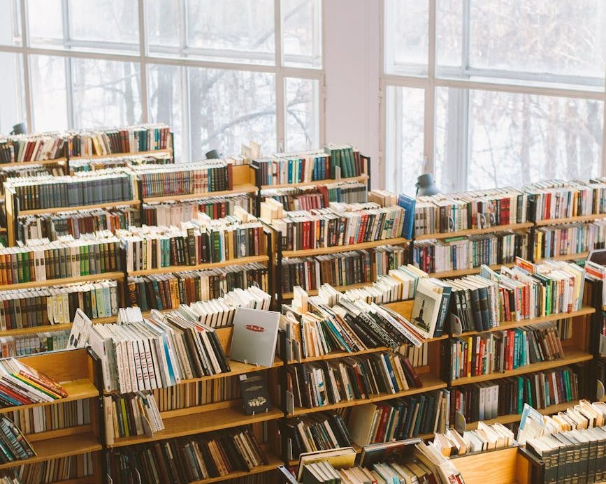 A stock photo of rows of library books in front of bright window. Julia Ludovici Tutoring